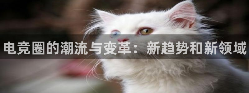 长征娱乐2登录：电竞圈的潮流与变革：新趋势和新领域