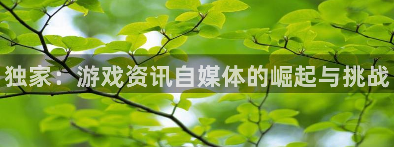 长征娱乐app下载：独家：游戏资讯自媒体的崛起与挑战