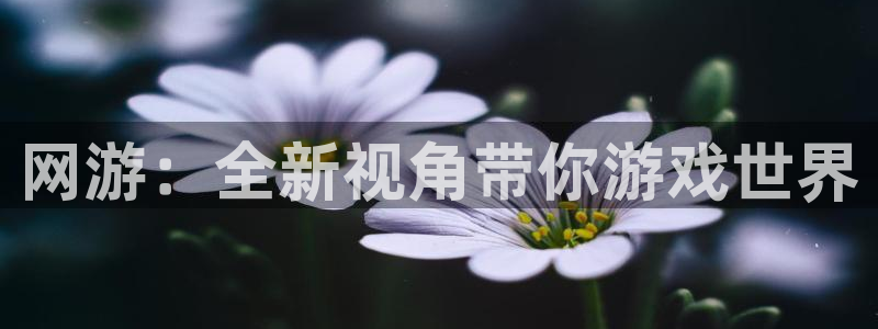 长征娱乐凳 1.1.l.l.7.8 长征咨询