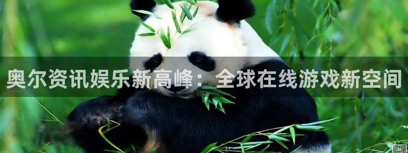 长征娱乐app下载最新版本更新内容介绍视频