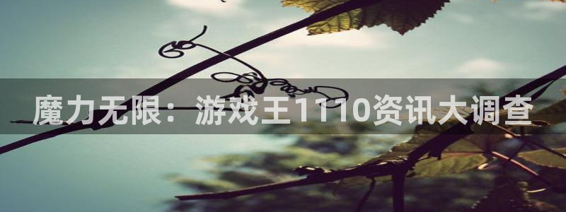 长征娱乐注册网站：魔力无限：游戏王1110资讯大调查