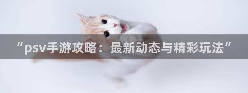 长征娱乐注册测速：“psv手游攻略：最新动态与精彩玩法”