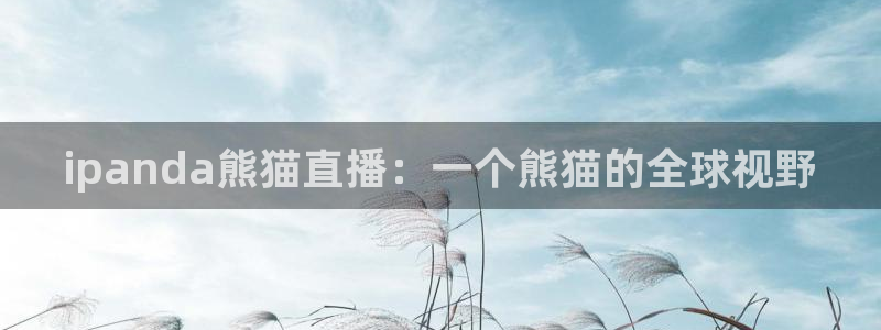 nba833直播：ipanda熊猫直播：一个熊猫的全球视野